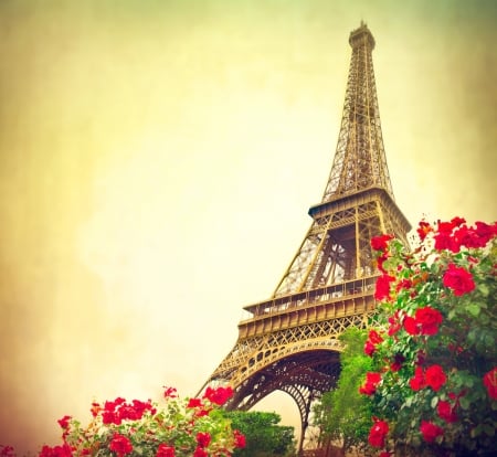 * - flowers, subbotina anna, eiffel, red, tower