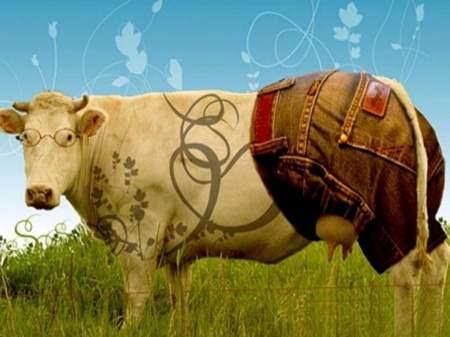 cow holstein - cow, holstein, grass, pants