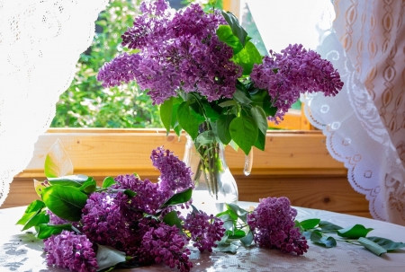 Still Life - pretty, Vase, Still Life, Flower