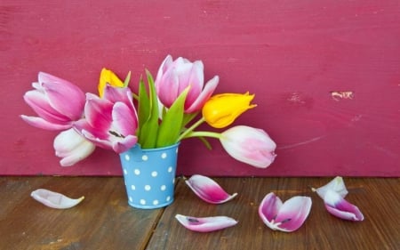 Lovely Flowers - flowers, petals, pink, tulips