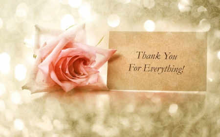 Thank You for Everything - rose, words, flower, card