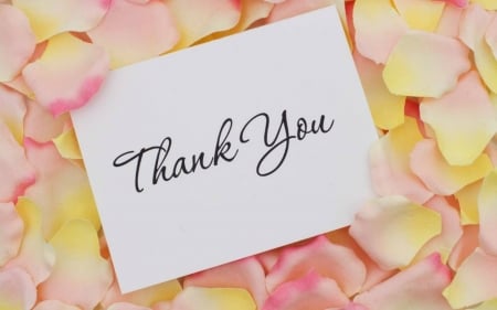 Thank You - words, petals, message, card