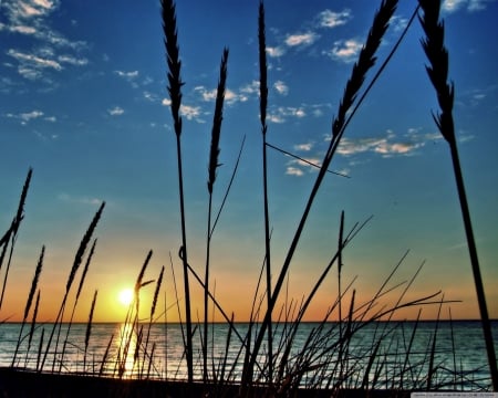 Beach Sunset - nature, beach, clouds, sunset, grass