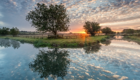 Sunset at the River - River, Sunset, Tree, Nature