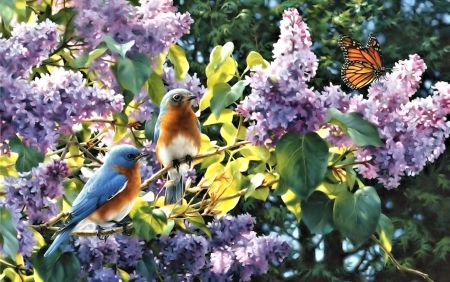 Pretty Spring Art - pretty, Bird, Art, Flower