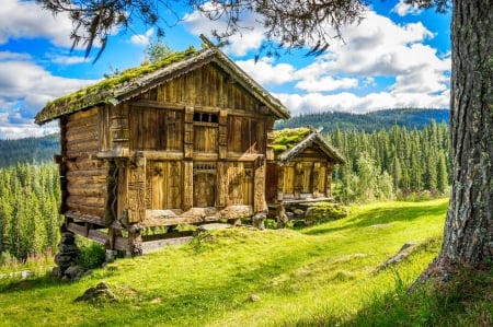 Wooden houses in mountain - sky, freshness, houses, mountain, landscape, wooden, spring, view, forest, pretty, beautiful, grass, wildflowers