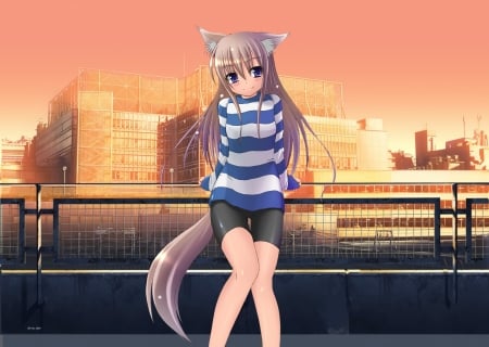 Nekomimi - fox, girl, cat, catwoman, sweet, cute, nekomimi, catgirl