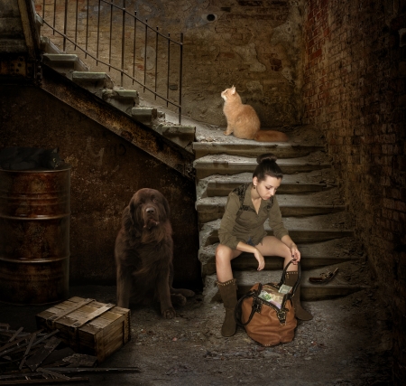 The treasure - funny, animal, caine, girl, stairs, pisica, creative, fantasy, treasure, bag, money, woman