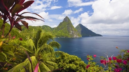 Caribbean Ocean - nature, ocean, mountain, island, palm, coast, caribbean