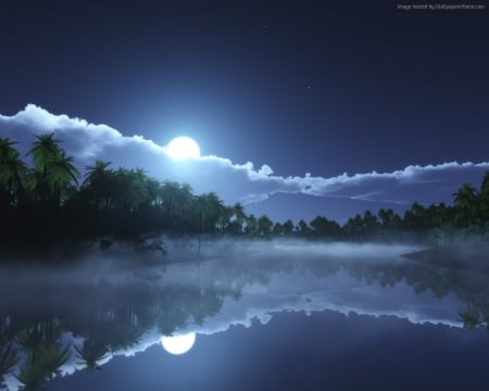 Sea Palms at Night - clouds, moon, river, palms, nature, sea, reflection