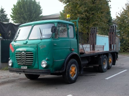 mille - tree, mille, street, truck