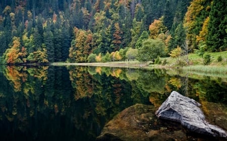 Black Forest - water, black forest, lake, forest