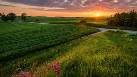 Sunset at fields - field, sunset, country, nature