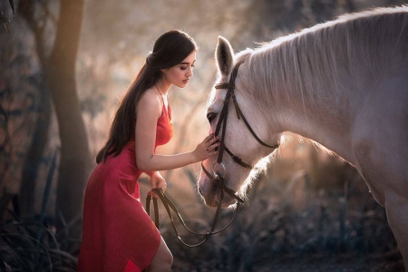 Beautiful friends - pretty, girl, horse, red