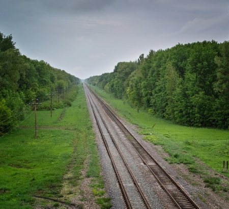 Great way to train - cloud, forest, nature, tree