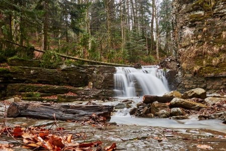 Forest Waterfall - forest, waterfall, wood, beautiful