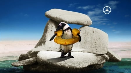 :D - stone, penguin, funny, creative, bird, car, yellow, situation, blue, animal, rock, commercial, cute, add