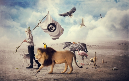 :D - zebra, lion, creative, fantasy, bird, situation, man, animal, commercial, add