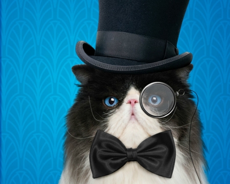 Funny cat - hat, blue, creative, cat, black, fantasy, pisica, white, animal, monoclu, funny, bow, luminos