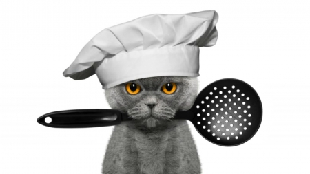 Master Cat - yellow eyes, hat, cat, chef, funny, black, pisica, fantasy, creative, white, grey, animal, master