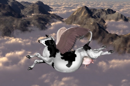 Flying Cow - flying, cows, clouds, mountains, funny