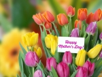 Happy Mother's Day