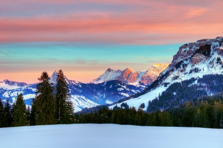 Wonderful sky at winter - winter, nature, tree, snow