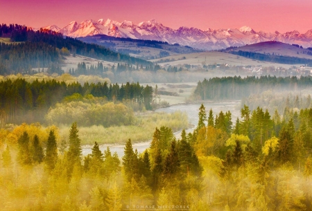 Our Planet - nature, tree, feild, mountain