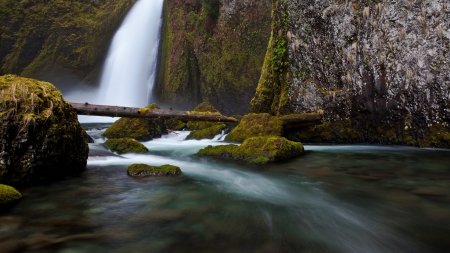 Forest waterfall - forest, nature, waterfall, tree