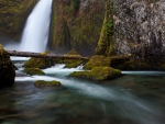 Forest waterfall