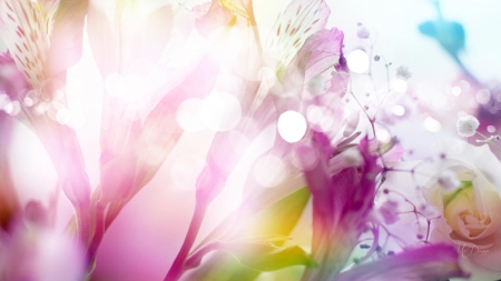 Spring Floral - flowers, abstract, Firefox Persona theme, summer, garden, spring, floral