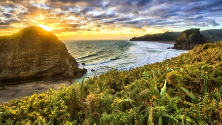 Sea Sunrise - sea, sunrise, grass, flowers, shore, sunset, nature, rays, waves