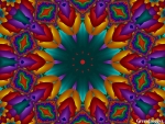 BRIGHT KALEIDOSCOPE