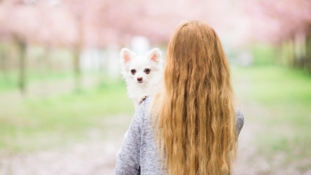 Lucky Me - woman, cute, dog, hair, animals