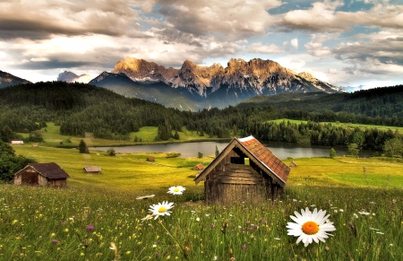 Mountain Lake - nature, lake, mountain, flower