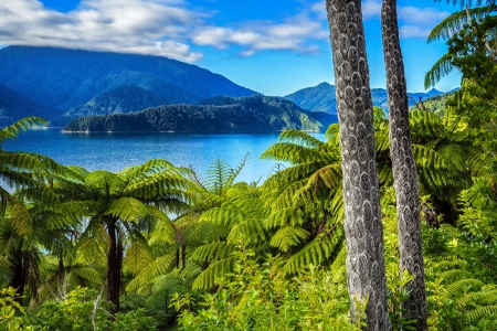 Elaine bay - lake, sky, mountain, new zealand, paradise, palms, elaine, plants, bay, exotic, view, beautiful, island, australia