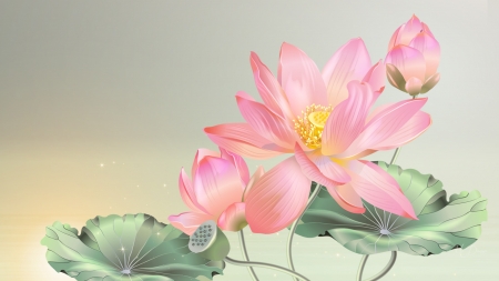 Water Lily - Firefox Persona theme, summer, pond, spring, floral, flower, pink, leaves