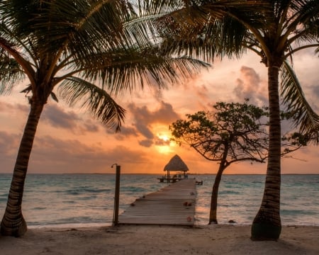 Coco Plum Island - nature, ocean, pier, trees, clouds, island, sunset, palm