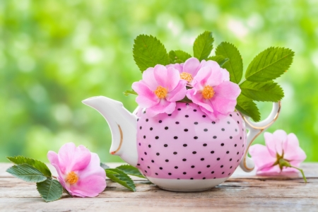 * - flowers, abstract, photography, teapot, pink