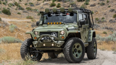 2015  Jeep Wrangler Rubicon by Rugged Ridge - wrangler, ridge, car, jeep, rugged, rubicon