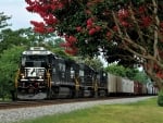 Norfolk Southern 8756 Passing Beautiful Tree