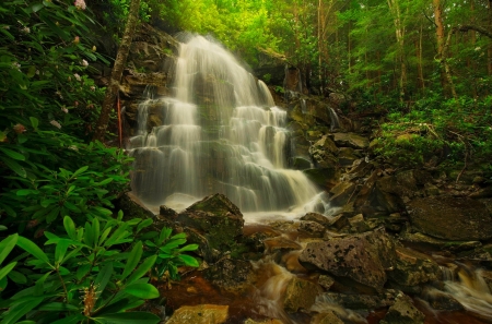 Forest waterfall - cascades, forest, trees, beautiful, waterfall, wildflowers