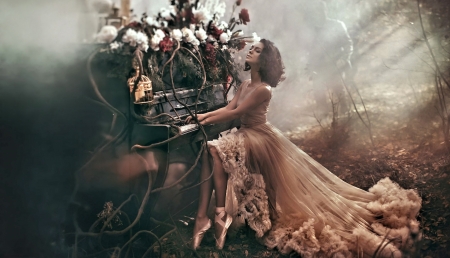 Beauty and Piano - woman, beauty, piano, pretty