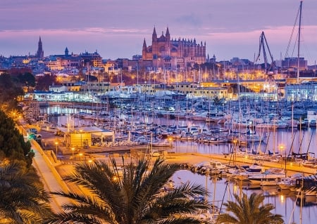 Palma de Mallorca, Spain - beach, boats, palms, buildings, sea, port