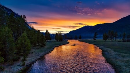 River Surrounded by Green Trees - nature, trees, forest, pine, river, clouds