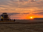 Harvesting at Sunset