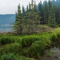 Denali National Park & Preserve