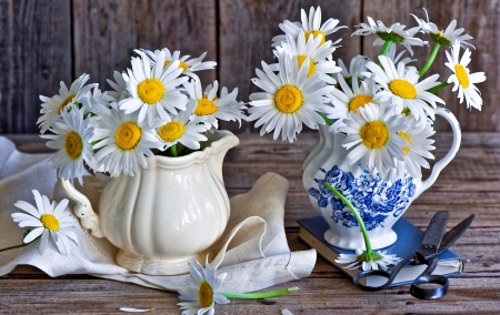 Still Life - pretty, still life, flower, vase