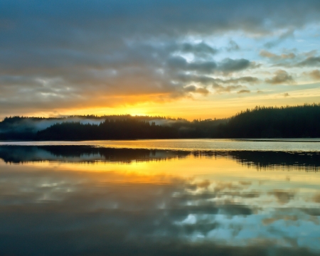 Shore at Sunset - nature, trees, river, shore, sunset, sea, mist