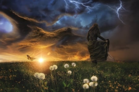 The storm - sky, dandelion, storm, field, sunset, girl